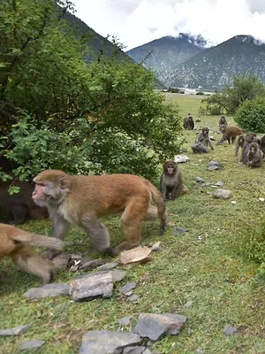 Destination Wild : Les merveilles de la Chine