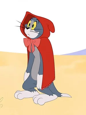 Tom et Jerry Show S5 E17