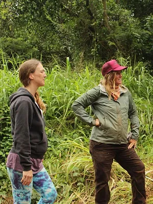 Habitations en péril