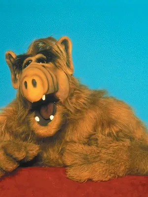 Alf S4 E15