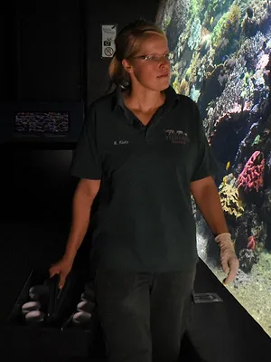 L'école des bébés animaux