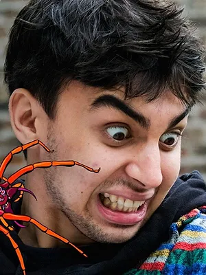 Schijtluizen