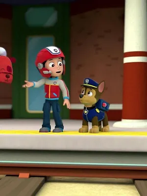 Paw Patrol, la Pat'Patrouille S1 E16