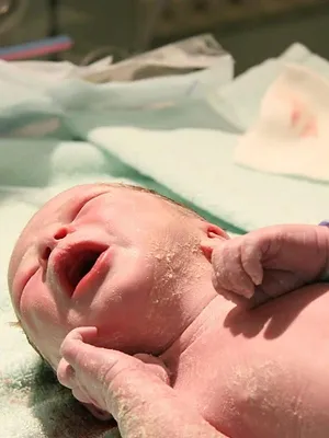 Baby boom