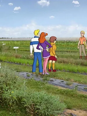 Scooby-Doo : Mission Environnement S1 E9