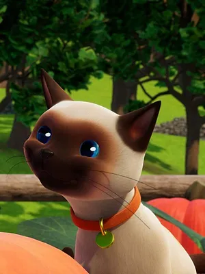 Sam le pompier S15 E14