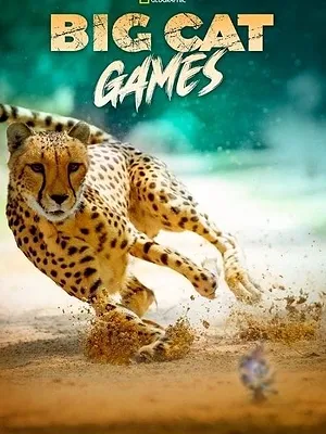 Big Cat Games