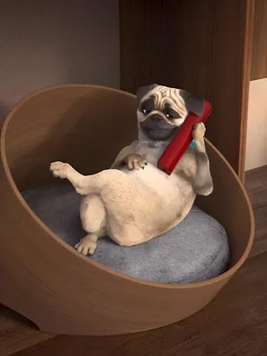 Mike, une vie de chien S1 E28