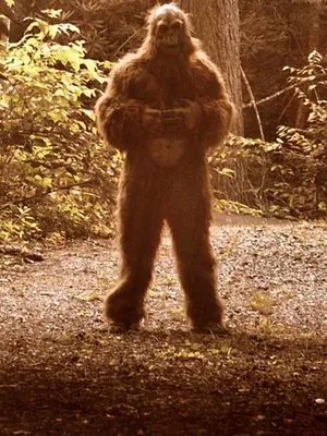 En quête de preuves