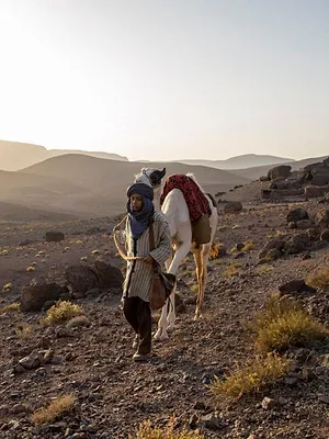 Zodi et Téhu, frères du désert