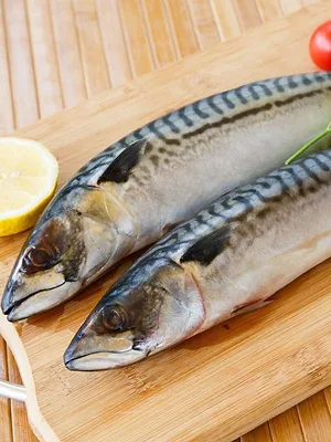 Cuisine de pêcheur