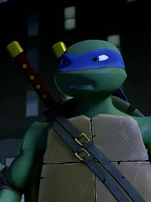 Les Tortues Ninja S1 E1
