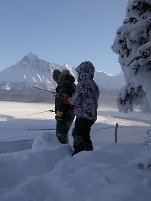 Alaska : nouvelle vie