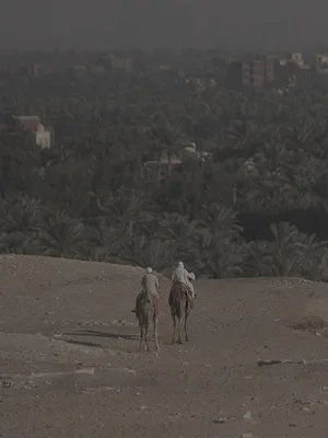 La découverte des derniers tombeaux d'Egypte