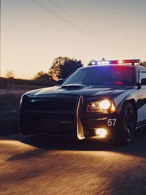 Cops
