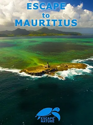 Escape to Mauritius