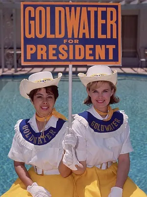 USA 1960-1980 : La révolution conservatrice