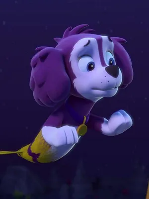 Paw Patrol, la Pat'Patrouille S2 E13