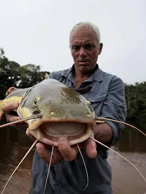 River Monsters