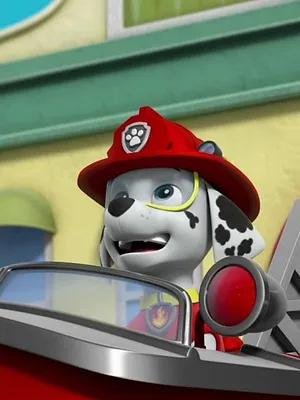 Paw Patrol, la Pat'Patrouille S6 E22