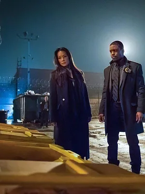 Elementary S3 E22