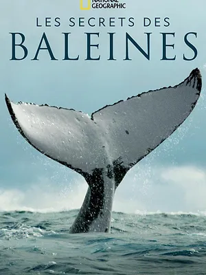 Les Secrets des baleines