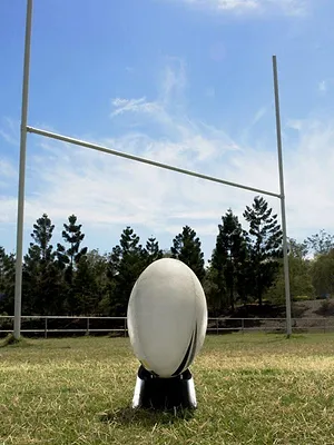 Rugby : Challenge Cup