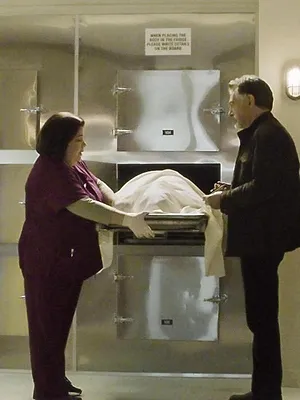 Esprits criminels S13 E12