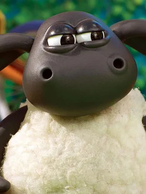 Voici Timmy S1 E2