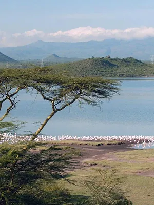 L'Afrique vue du ciel