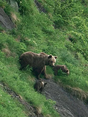 Les Pyrénées secrètes