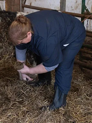 L'incroyable Dr Pol
