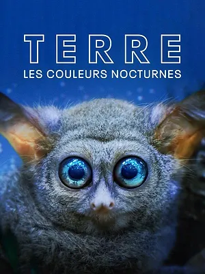 Terre : les couleurs nocturnes