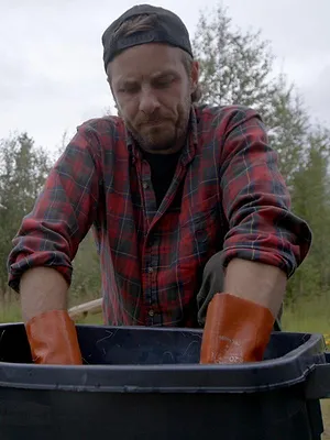 Alaska : nouvelle vie