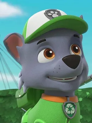 Paw Patrol, la Pat'Patrouille S10 E24