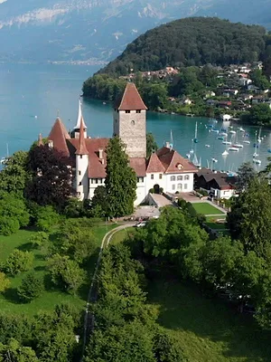 Les châteaux de Suisse