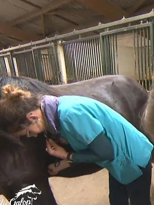 Au galop !