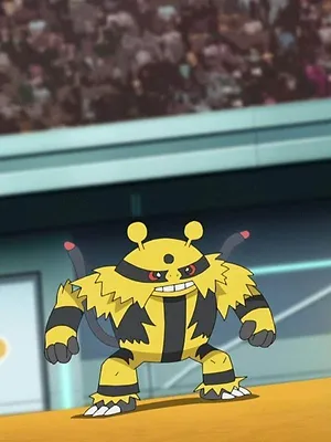Pokémon, les voyages S24 E29