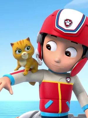 Paw Patrol, la Pat'Patrouille S1 E5