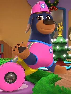 Pupstruction, les chiots en action S1 E17