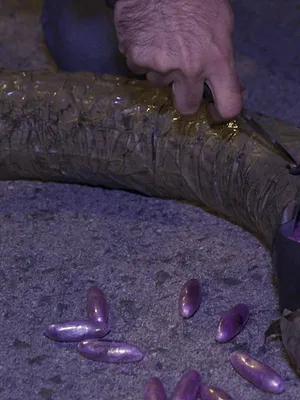 Au coeur des douanes : Espagne