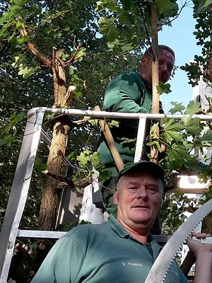 L'école des bébés animaux
