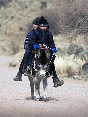 Chemins d'école, chemins de tous les dangers