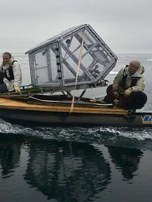 La famille ours polaire et moi