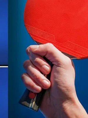 Tennis de table : WTT Star Contender de Ljubljana