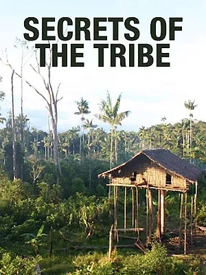 Yanomami : une guerre d'anthropologues
