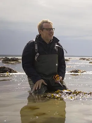 Des trains pas comme les autres