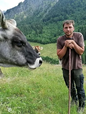 Die Almretter