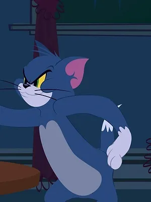 Tom et Jerry Show S1 E13