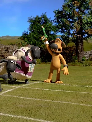 Shaun le champion S1 E14